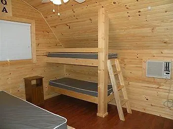 Wellington Koa-1
